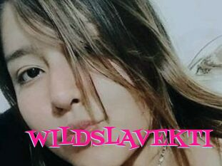 WILDSLAVEKTI