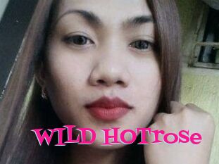 WILD_HOTrose