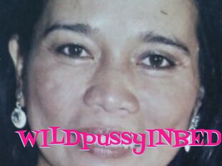 WILDpussyINBED