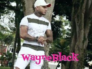 WayneBlack