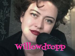 Willowdropp