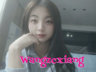Wangzcxiang
