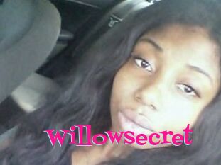 Willow_secret