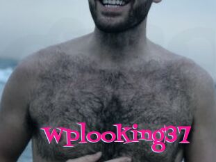 Wplooking37