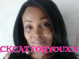 XBLACKCATFORYOUXX