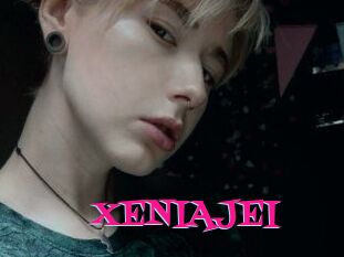 XENIA_JEI