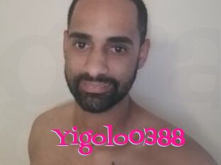 Yigolo0388