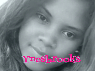 Ynesbrooks