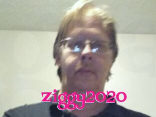 Ziggy2020